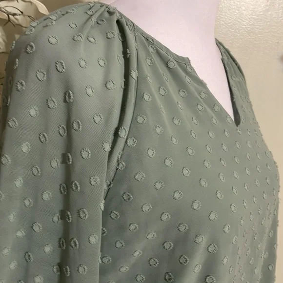 Chico's Sage Green Long Sleeve Blouse - Picture 4 of 9